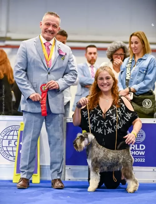 Barbut's Nens Nuada, filho do Barbut's Nens Hórus Horematawy e a  Ch Brasileira e Panamericana Gossip Von Haus Viking, da criação da conceituada e finada Suzanne Blum, em sua estréia no grande evento Cinófilo World Dog Show 2022, em uma apresentação bem disputada, representando o Brasil na classe jovem conquistou o 2o. Lugar da classe, pelo juiz e criador da raça Gerardo Paolucci e apresentado por sua criadora Sueli Nascimento