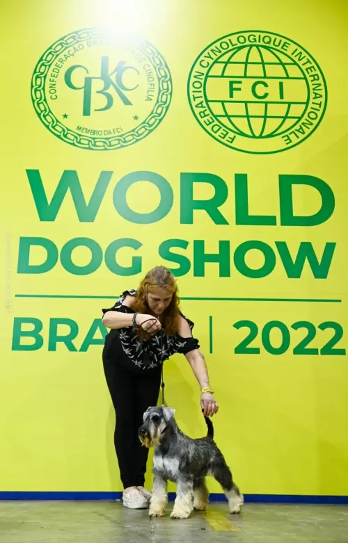 Nossos Campeões no Mundial