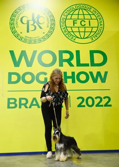Nossos Campeões no Mundial