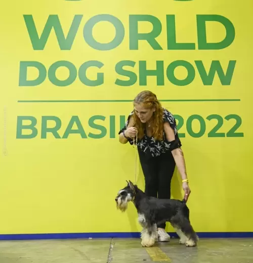 Nossos Campeões no Mundial