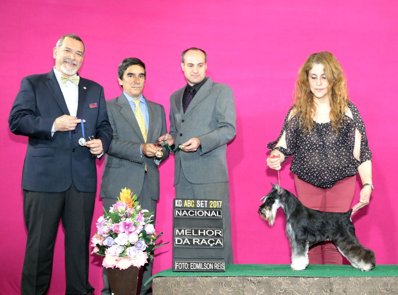 Exposições